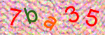 capcha